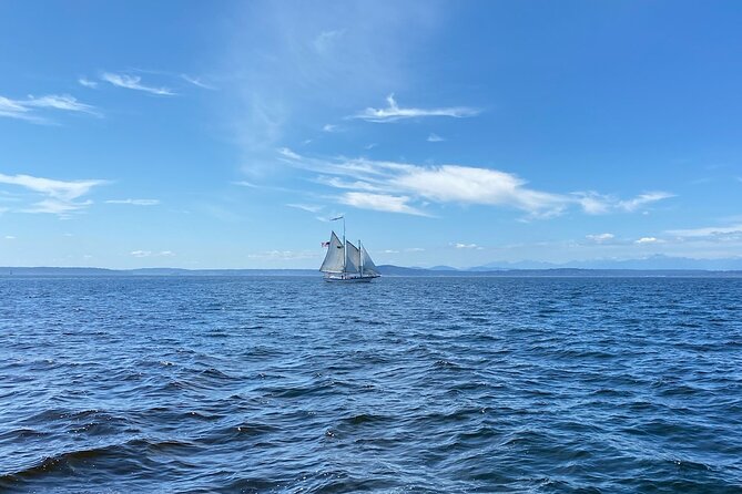 Seattle Sailing Harbor Tour - Why this Seattle sailing cruise starts at Pier 66