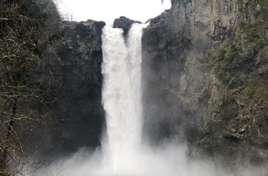 Seattle: Snoqualmie Falls and Twin Falls Guided Tour - What Jared Teaches You on the Way (Rainforest, Fungi, and Pacific Northwest Logic)