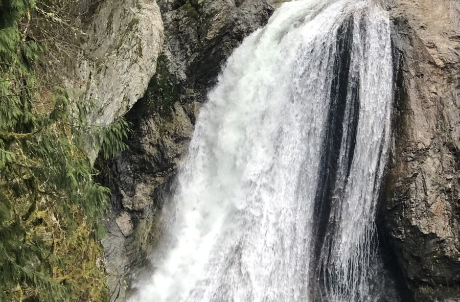 Seattle: Snoqualmie Falls and Twin Falls Guided Tour - Who This Tour Suits Best (And Who Might Want to Skip It)