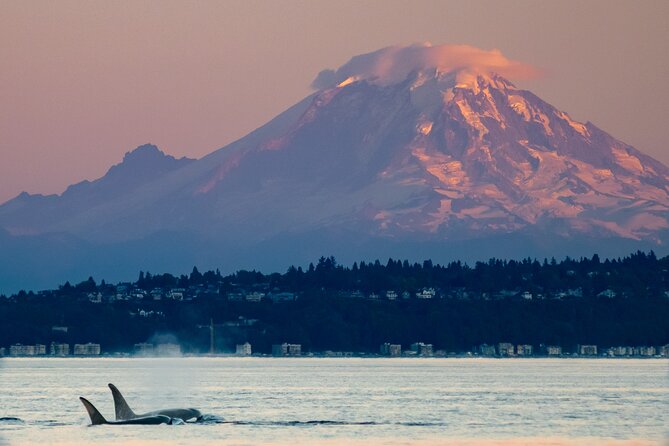 Seattle Sunset Sail BYOB - Check-in and meeting point: fewer hassles, smoother boarding