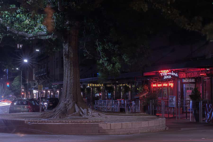 Seattle: Terrors and Ghosts Guided Walking Tour - Should You Book Seattle: Terrors and Ghosts?