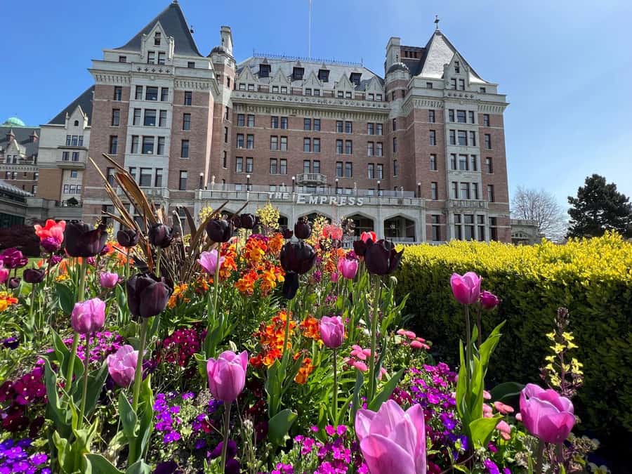 Seattle: Victoria, BC Round-Trip Ferry Tour - The ferry ride itself: what you’re really paying for