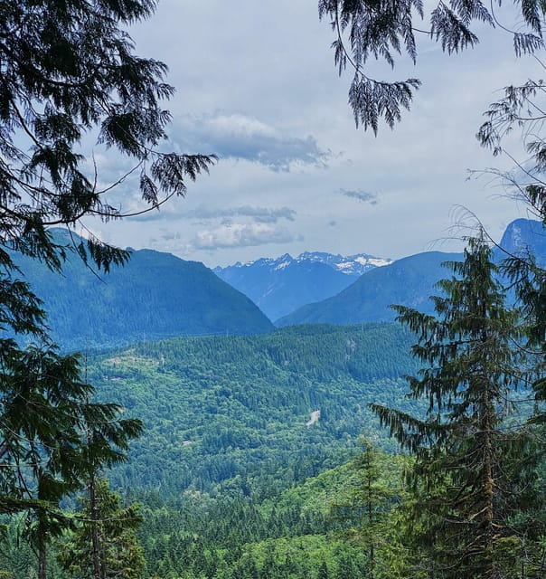 Seattle, Washington: Hike the Gorgeous Trails in Washington - Small group energy, plus photos that you do not have to plan