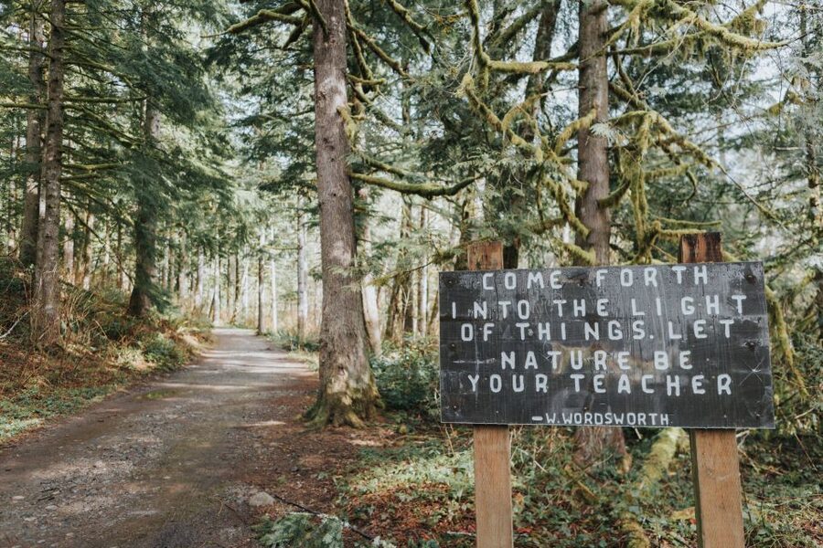Seattle: Waterfall Wonderland Hike in Wallace Falls Park - Three waterfalls in one day: how to enjoy each stop without rushing