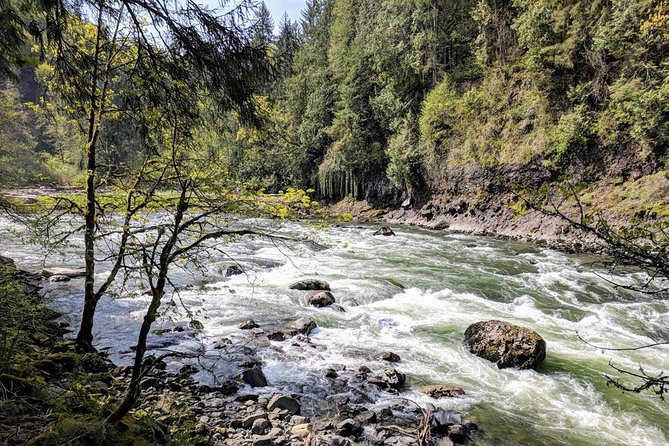 Seattle Wine and Waterfall Luxury Small-Group Day Tour with Lunch - Snacks, water, and flexible pacing that keep the day from feeling forced