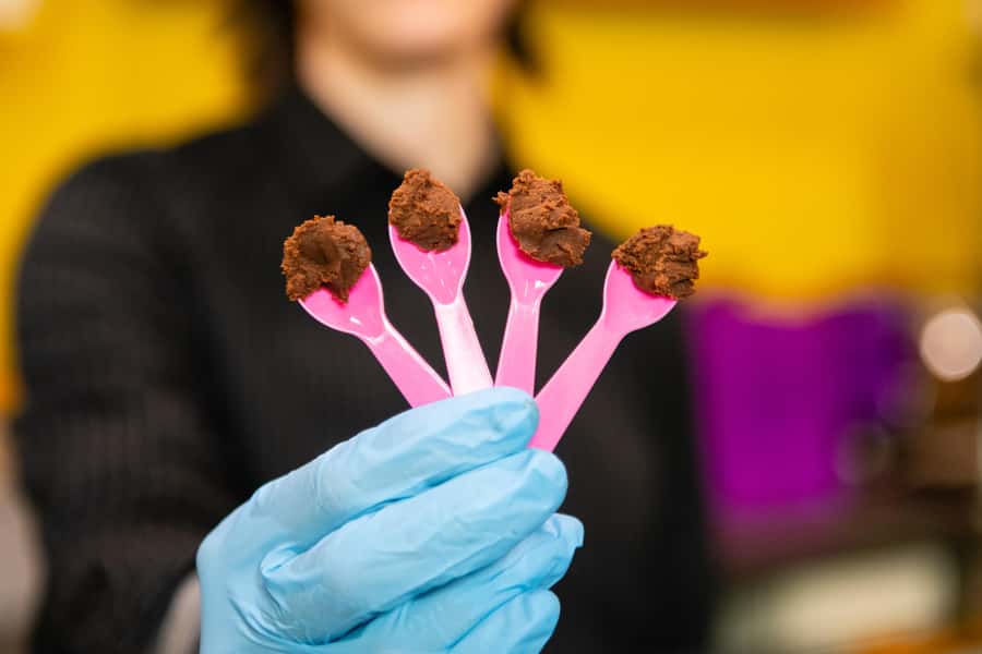 Seattle: Wine, Cheese and Chocolate Pairing Tour - Key Points Worth Knowing Before You Go
