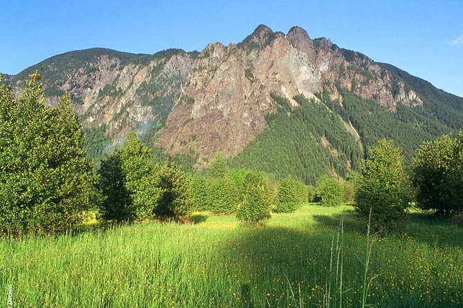 Seattle Wine & Snoqualmie Falls Highlights Tour - Who This Tour Suits Best, and Who Might Want a Different Option