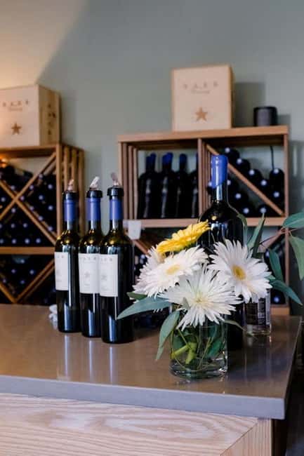 Seattle: Woodinville Guided Wine Tour with Optional Tastings - Key highlights you’ll feel right away