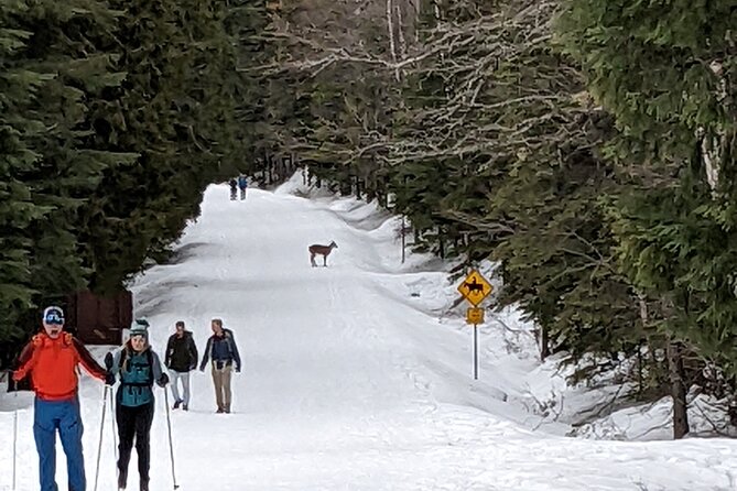 Shuttle to Snoqualmie Pass Ski and Snowboard - Smart ways to avoid pickup stress in Seattle