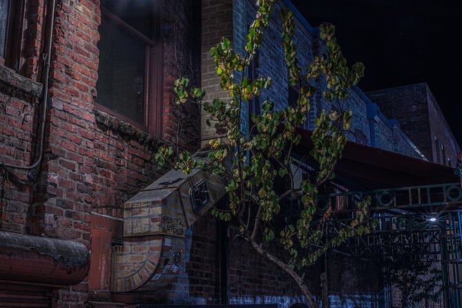 Sinister Sins, Scandal, and Shadows: Seattle Ghost Tour - A 1903 mortuary built for death, and what that stop feels like