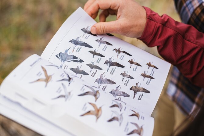 Skagit Valley Birding + Deception Pass Day Tour From Seattle - Key things that make this tour worth your time
