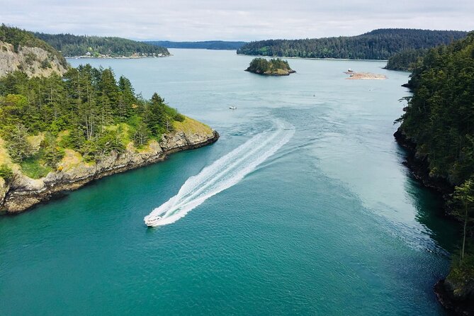 Skagit Valley Birding + Deception Pass Day Tour From Seattle - Seattle pickup, van comfort, and a real start time