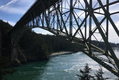 Skagit Valley Birding + Deception Pass Day Tour From Seattle