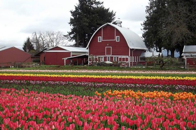 Skagit Valley Tulip Festival Day Tour from Seattle - Roozengaarde gardens: formal plantings, crowd energy, and photo strategy