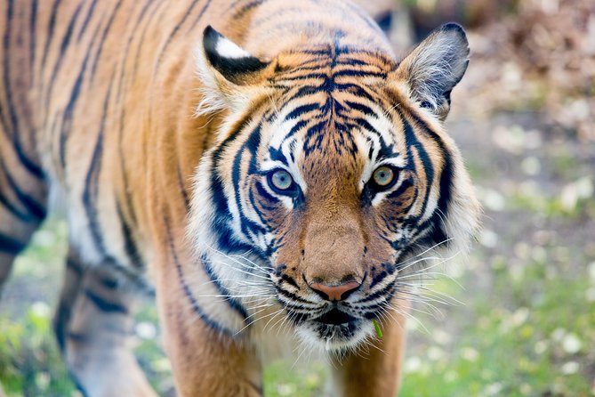 Skip the Line: Daily Admission at Woodland Park Zoo Ticket - Butterflies, seasonal gardens, and the small exhibits that matter