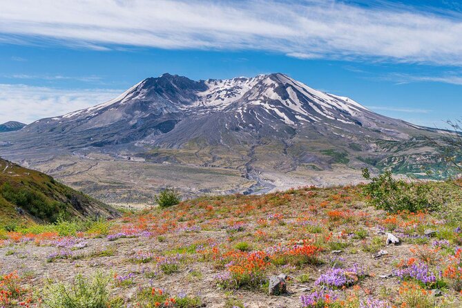 Small-group Mt. St. Helen National Park Tour from Seattle in SUV - Quick hits before you go