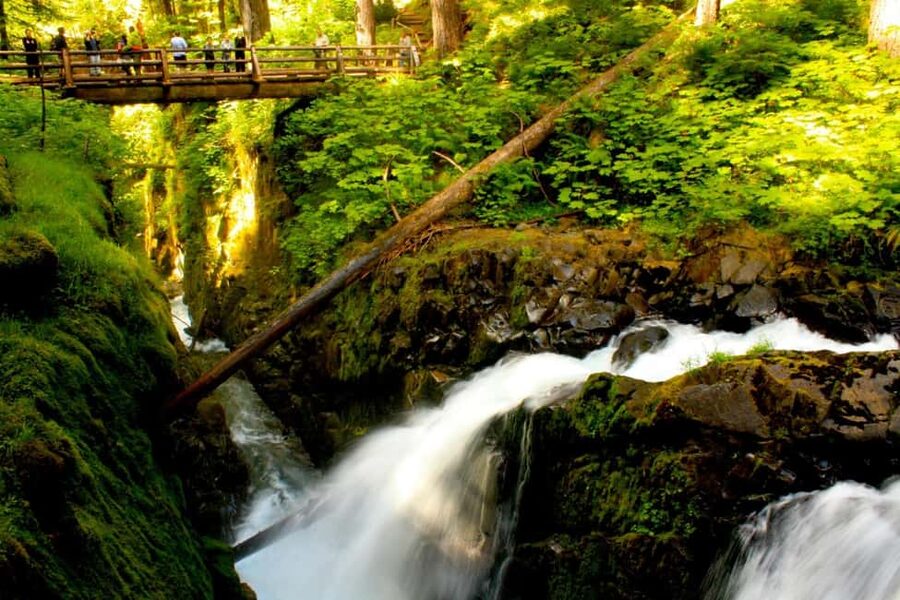 Small Group: Olympic National Park Day Tour From Seattle - The Puget Sound ferry to Bainbridge, the best way to start Olympic