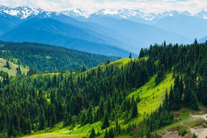 Small Group Olympic National Park Day Tour from Seattle 2CanGo - Key highlights to know before you go