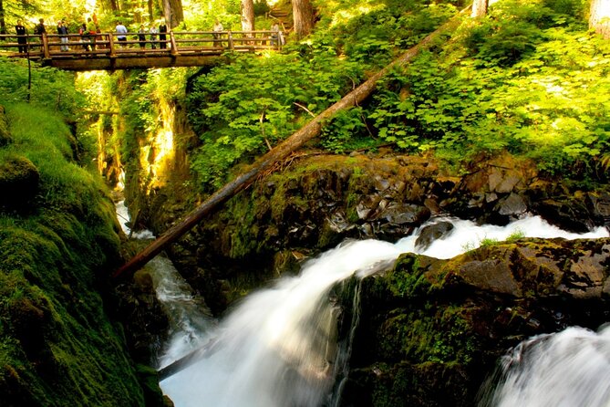 Small Group Olympic National Park Day Tour from Seattle 2CanGo - Why this Olympic trip starts with ferries, not fuss