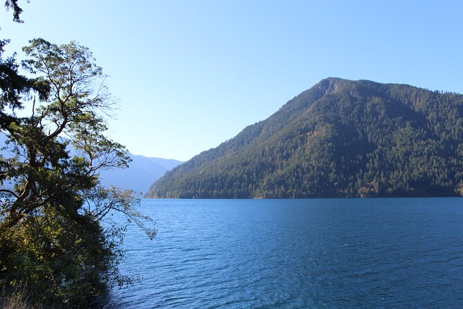 Small Group Olympic National Park Day Tour from Seattle 2CanGo - What the guided hike actually feels like