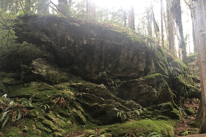 Snoqualmie falls and Twin Falls Hike - The Seattle meet-up at 800 5th Ave N, and why the van ride matters