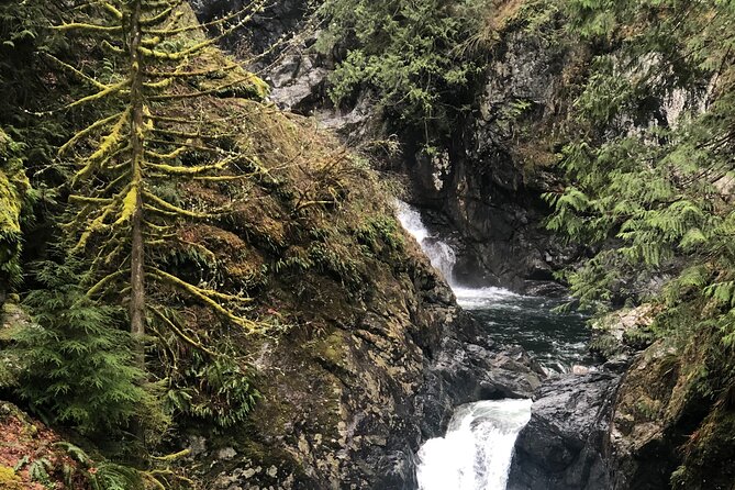Snoqualmie falls and Twin Falls Hike - Twin Falls at Olallie State Park: guided start, then about an hour on your own