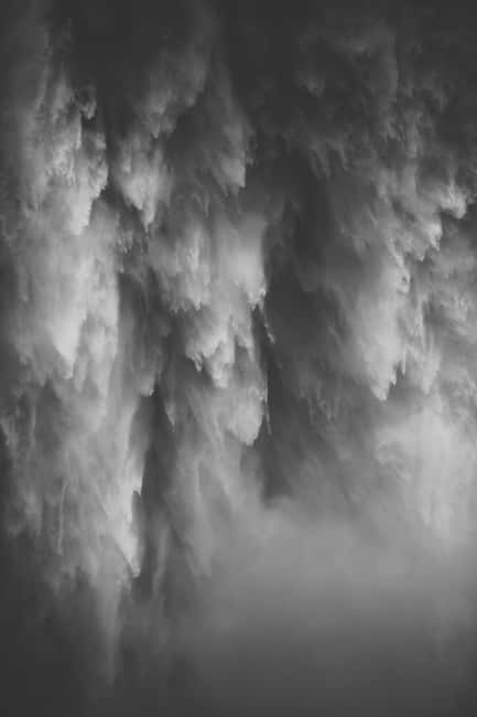 Snoqualmie, Twin Falls & Ancient Forest (Transport Included) - Key Highlights Worth Planning For