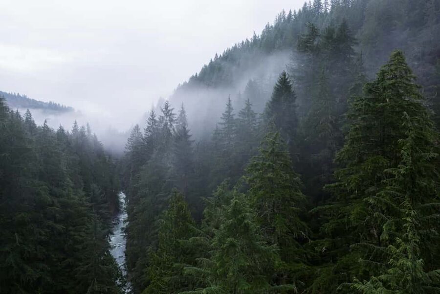 Snoqualmie, Twin Falls & Ancient Forest (Transport Included) - Twin Falls and Ollalie State Park, Why Two Waterfalls Feel Like More