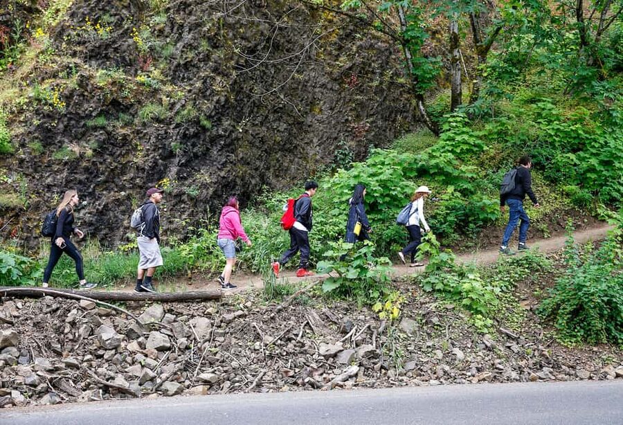 Snoqualmie, Twin Falls & Ancient Forest (Transport Included) - Timing That Respects Your Day, Returning to Seattle by Noon