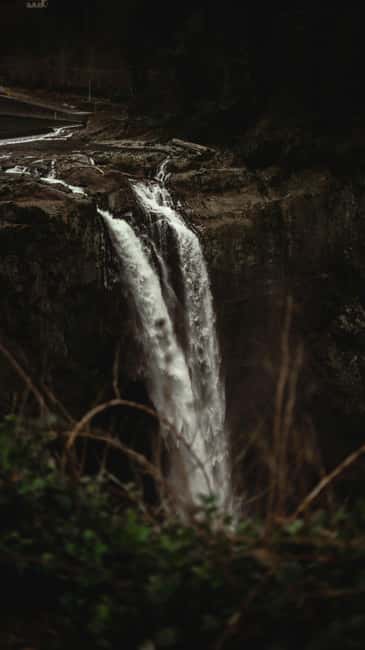 Snoqualmie, Twin Falls & Ancient Forest (Transport Included) - What Makes Jonny’s Guiding Style Work So Well