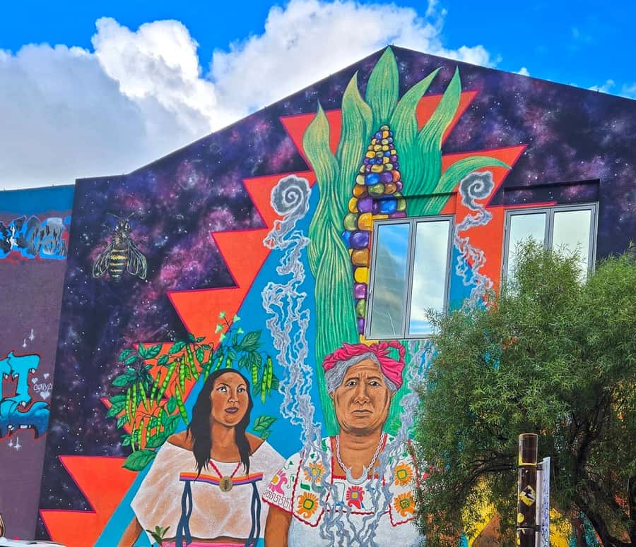 Taste of Tucson: Downtown Walking Food Tour - Rebuilt Spanish fort and the timeline behind Tucson