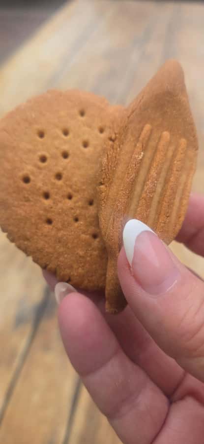 Taste of Tucson: Downtown Walking Food Tour - What to bring for Tucson heat, plus how to avoid getting tired