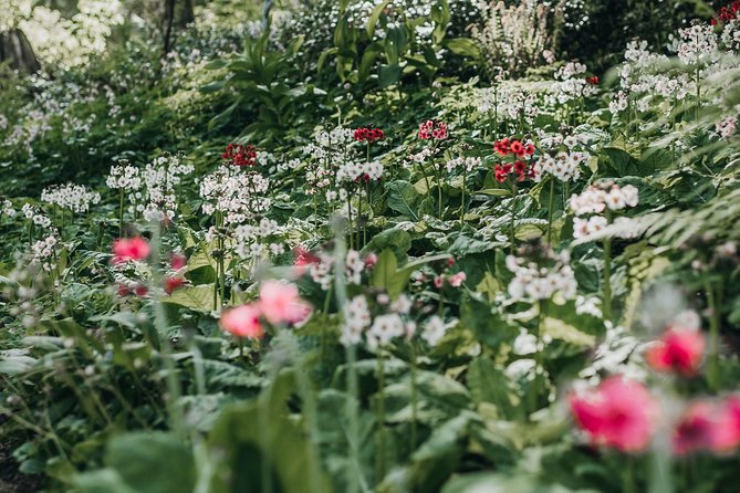 The Bloedel Reserve & Sightseeing - Price and Value: Is $299 Worth It?