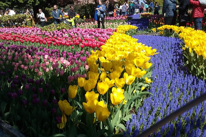 Tulip Festival and Skagit Valley Tour - Key highlights worth knowing before you go