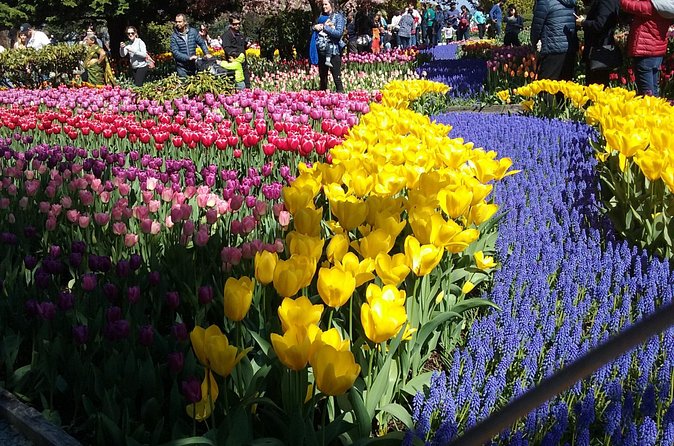 Tulip Festival and Skagit Valley Tour - Tulip Town: fair-style tulips, gift shop time, and extra fun