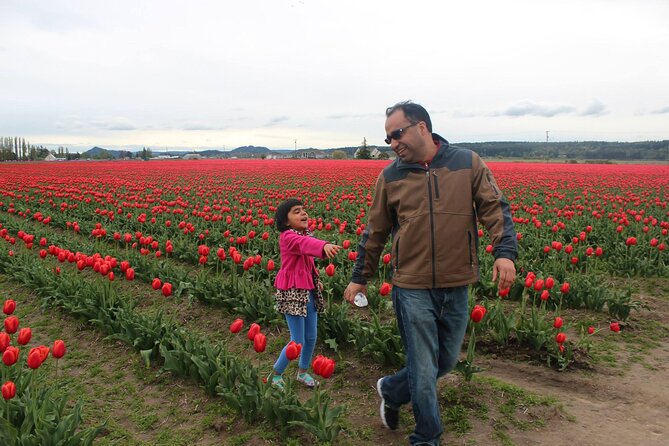 Tulip Festival at Skagit Valley ,La Conner and Deception Pass - Mount Vernon First, With a Quick Dose of Local Life