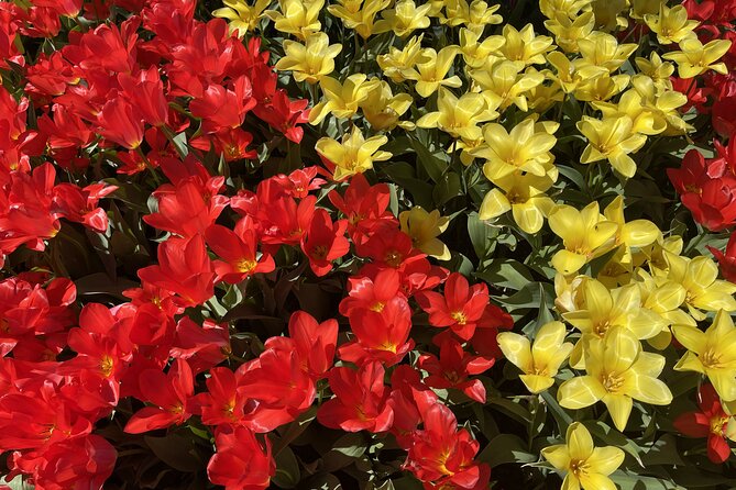 Tulip Festival in Skagit Valley Tour from Seattle - La Conner Free Time: Where the Day Turns Into Lunch and Strolling