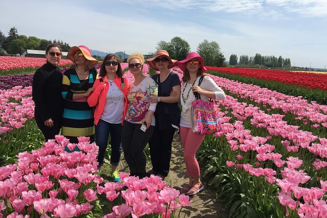 Tulip Festival in Skagit Valley Tour from Seattle - German Gluhwien and Seasonal Comfort on a Cold Spring Day