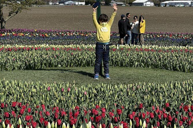 Tulip Festival in Skagit Valley Tour from Seattle - Price and Value: Is $145 for a Skagit Tulip Day Fair?