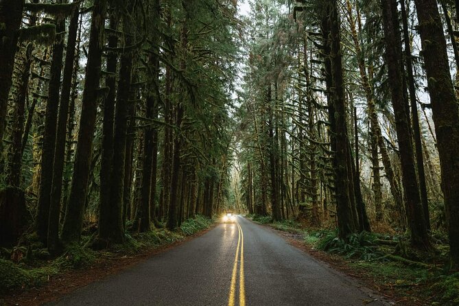 Twilight Forks Washington Tour - Price and Value: What Your $485 Includes, and What It Does Not