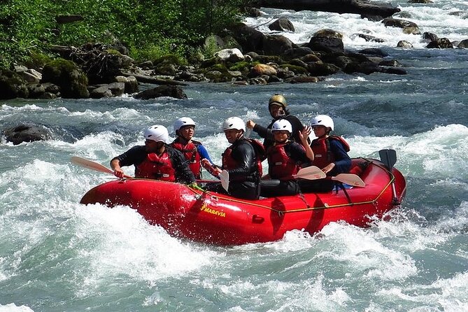 Upper Skagit Introductory Whitewater Rafting Trip - Your ride on the Skagit: rapids, flat water, and swim moments