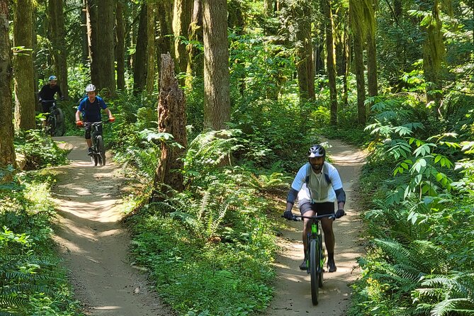 Viator Exclusive - Half Day Mountain Bike Tour from Seattle - A half-day Seattle escape that starts and ends in the city