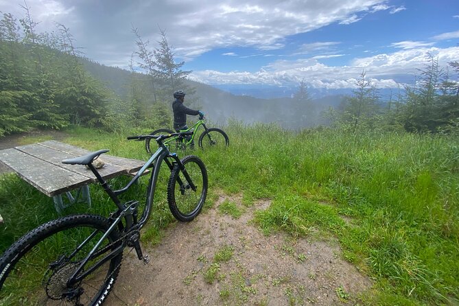 Viator Exclusive - Half Day Mountain Bike Tour from Seattle - The 1pm to 6pm flow: transport, snacks, and when you’ll actually be riding