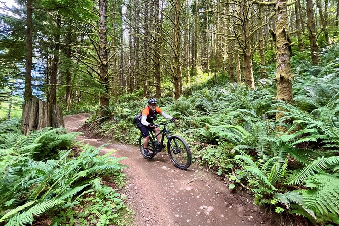 Viator Exclusive - Half Day Mountain Bike Tour from Seattle - Where the tour gives you authentic Pacific Northwest riding, not a generic highlight loop