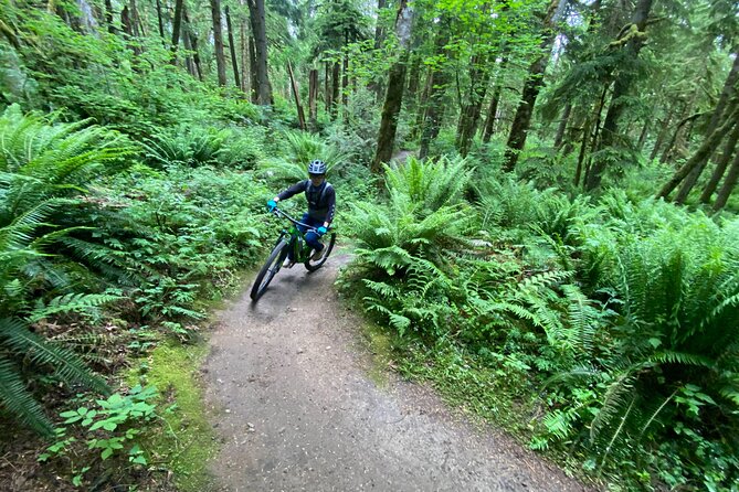 Viator Exclusive - Half Day Mountain Bike Tour from Seattle - Who should book this tour, and who should skip it