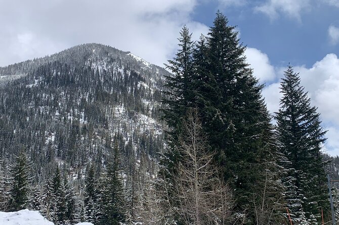 Visit Leavenworth on a guided Cascades and Snoqualmie Falls Tour - Who Should Book This Leavenworth Tour, and Who Might Skip It