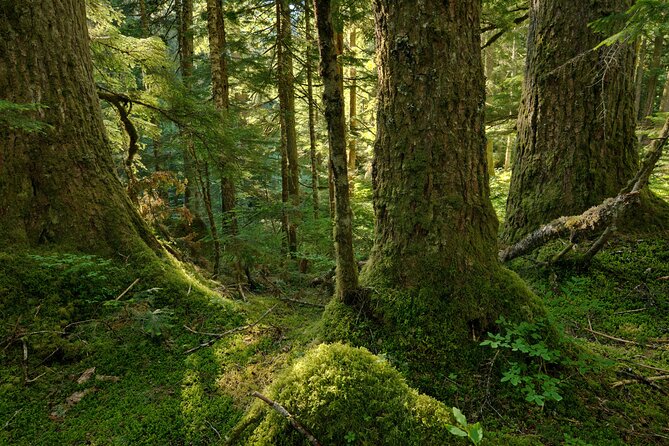 Visit Snoqualmie and Hike to Twin Falls (Transportation included) - What to pack for cold bottoms, mud, and photos