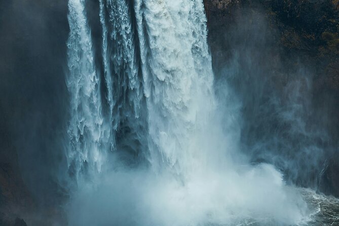 Visit Snoqualmie waterfall and an old forest (Transport Included) - How the 4-hour schedule actually works in your day