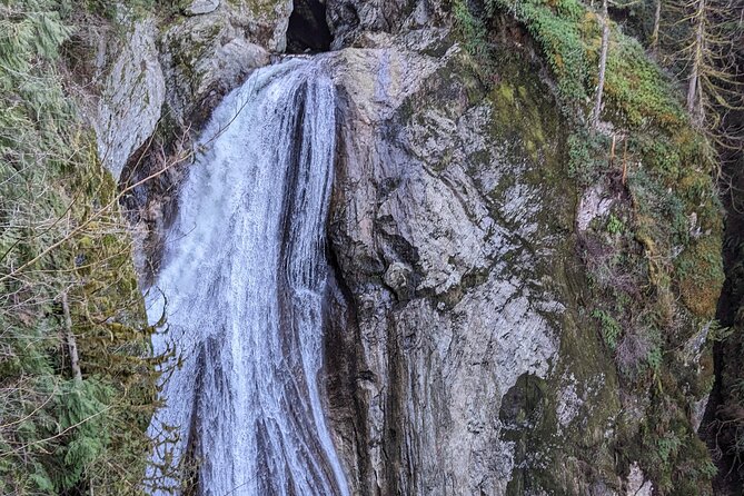 Visit Snoqualmie waterfall and an old forest (Transport Included) - Weather curveballs: fog, closures, and plan B