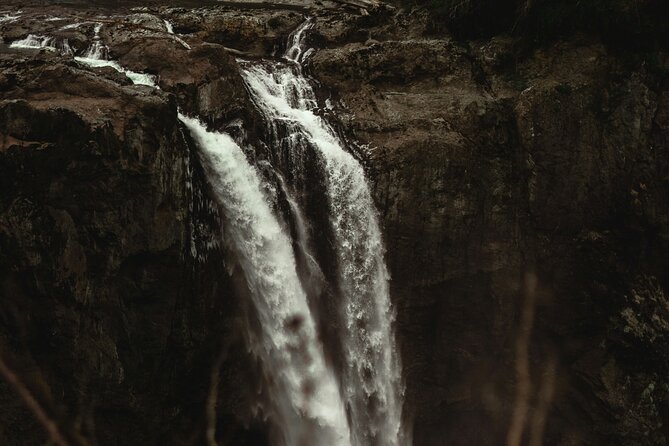 Visit Snoqualmie waterfall and an old forest (Transport Included) - Who this tour is best for, and who should skip it